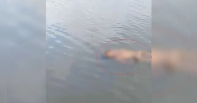 Imagem ilustrativa da notícia Corpo sem roupa é encontrado boiando em rio no Pará