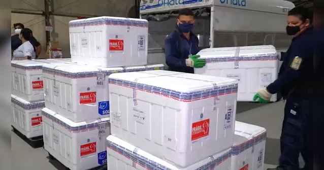 Imagem ilustrativa da notícia Pará recebe mais 29.800 doses de vacina contra Covid-19