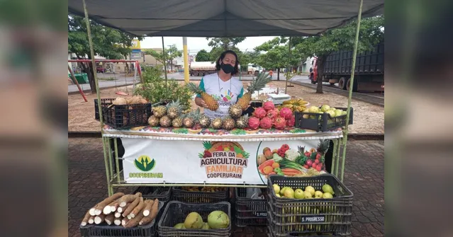 Imagem ilustrativa da notícia Cooperativa promove distribuição de alimentos em Paragominas