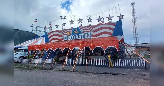 Imagem ilustrativa da notícia Circo Astro faz espetáculos em Belém; saiba mais