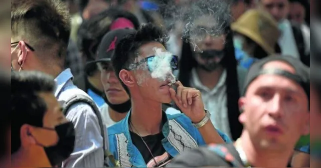 Imagem ilustrativa da notícia México descriminaliza uso recreativo da maconha