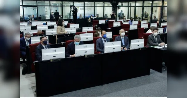 Imagem ilustrativa da notícia Executivos depõem sobre não investir em siderurgia no Pará