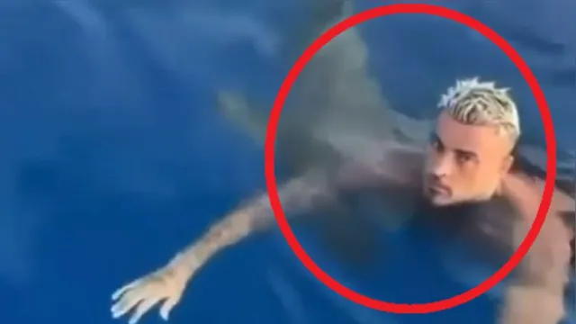 Imagem ilustrativa da notícia Vídeo: homem é surpreendido por tubarão durante mergulho