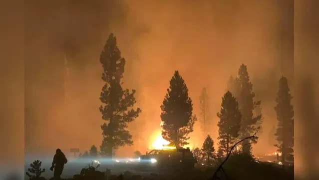 Imagem ilustrativa da notícia Incêndio atinge grande área florestal dos Estados Unidos