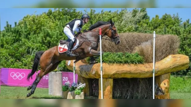 Imagem ilustrativa da notícia Cavalo é sacrificado após se machucar nas Olimpíadas