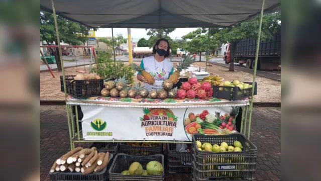 Imagem ilustrativa da notícia Cooperativa promove distribuição de alimentos em Paragominas