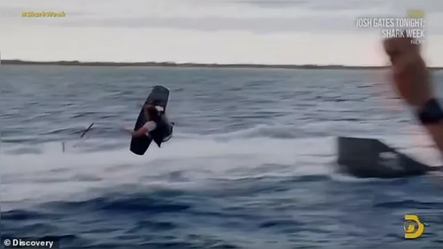 Imagem ilustrativa da notícia Vídeo: ator tem mão mutilada após cair em mar com tubarões