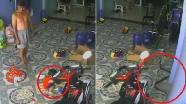 Imagem ilustrativa da notícia Vídeo: cobra venenosa tenta atacar bebê e o persegue em casa