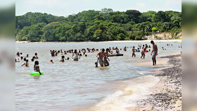 Imagem ilustrativa da notícia Ilha de Cotijuba pode se tornar Área de Proteção Ambiental