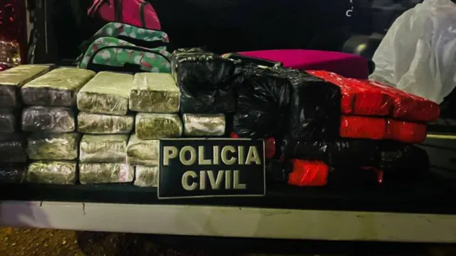 Imagem ilustrativa da notícia Polícia
Civil apreende traficantes interestaduais de droga