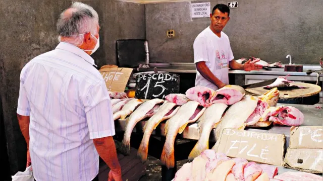 Imagem ilustrativa da notícia Pescado de feiras livres e supermercados continua caro