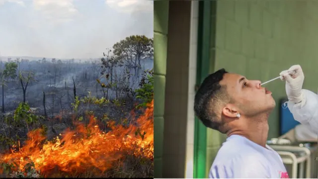Imagem ilustrativa da notícia RD: covid-19 é pior em áreas de queimadas na Amazônia