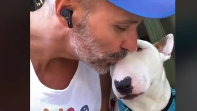 Imagem ilustrativa da notícia Veja a reação desse cachorrinho após ser beijado pelo tutor