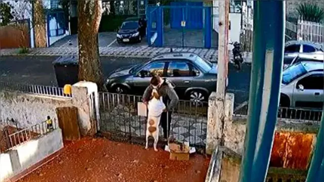 Imagem ilustrativa da notícia Vídeo: homem rouba blusa de cadela após fazer carinho