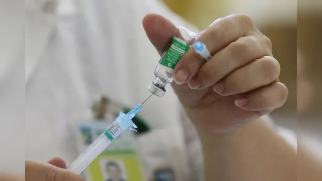Imagem ilustrativa da notícia Icoaraci recebe "vacinaço" contra gripe H1N1 neste domingo