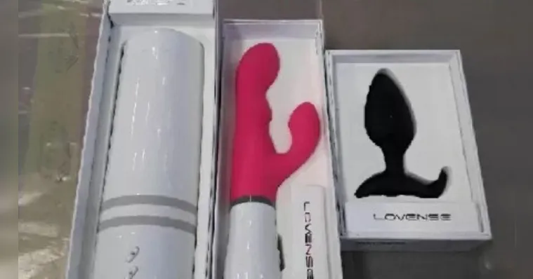 Imagem ilustrativa da notícia Leilão da Receita tem cabelo e vibrador disponíveis 