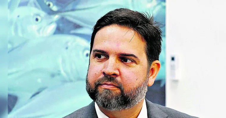 Imagem ilustrativa da notícia PA: micro e pequenas empresas geram 81% dos empregos formais