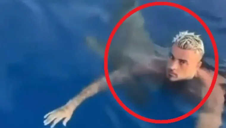 Imagem ilustrativa da notícia Vídeo: homem é surpreendido por tubarão durante mergulho