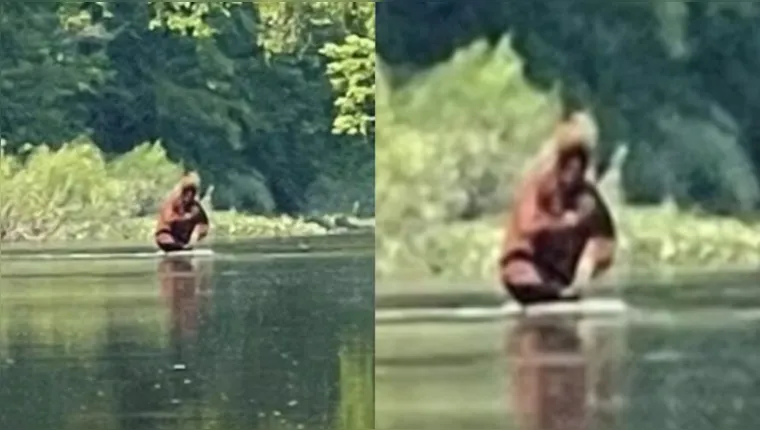 Imagem ilustrativa da notícia Homem filma criatura em rio e diz ser "pé-grande" fêmea