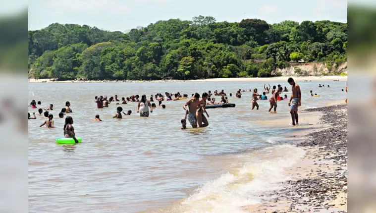 Imagem ilustrativa da notícia Ilha de Cotijuba pode se tornar Área de Proteção Ambiental