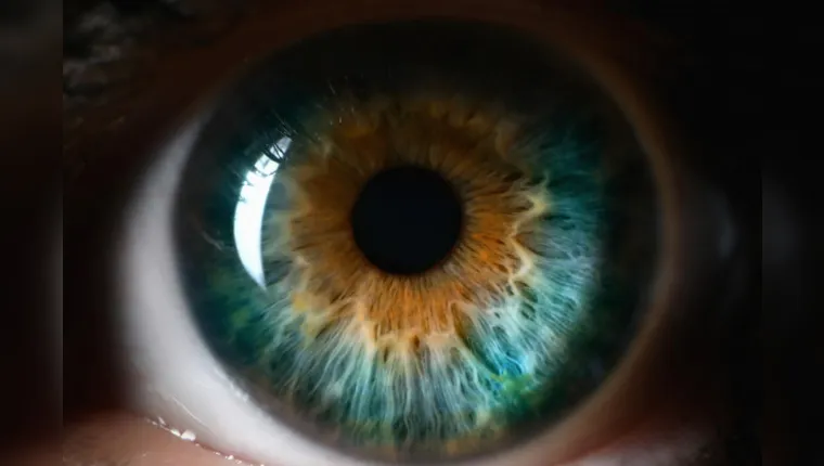 Imagem ilustrativa da notícia Estudo detecta vírus da Covid-19 no olho de infectados