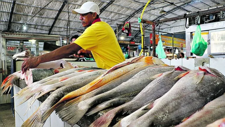 Imagem ilustrativa da notícia Clientes e vendedores comemoram redução no valor do pescado