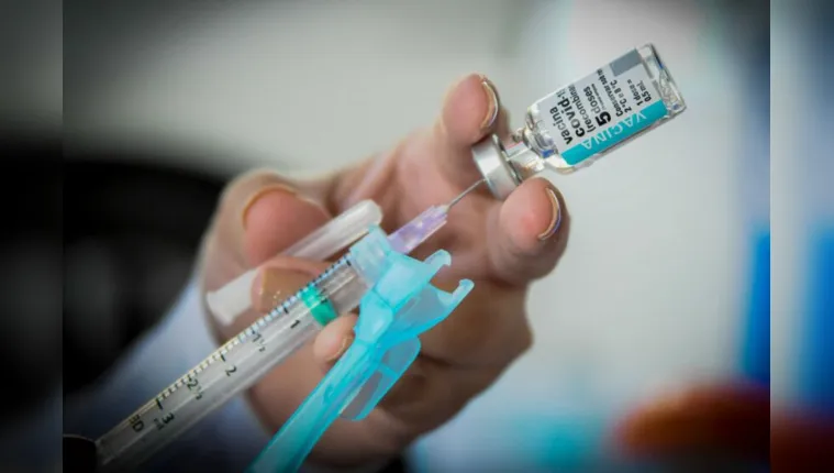 Imagem ilustrativa da notícia Pará receberá mais 390 mil doses de vacinas contra a Covid