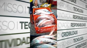 Segundos os pescadores as vendas diminuíram e agora exigem um parecer técnico