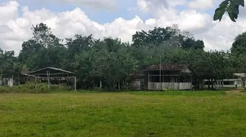 Aparição misteriosa tem dividido opiniões na pequena localidade no nordeste paraense