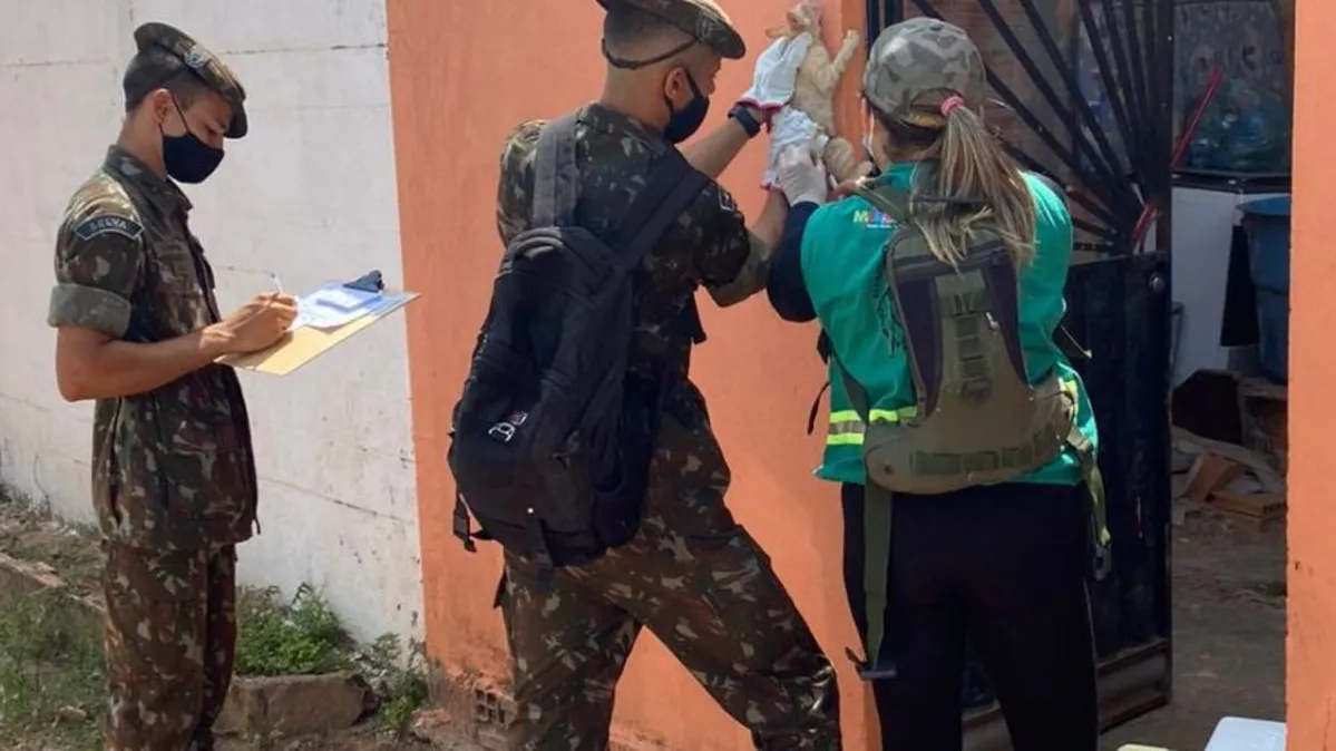 Imagem ilustrativa da notícia Marabá inicia campanha de vacinação contra raiva