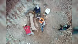 Imagem de drone mostra fóssil gigantesco de dinossauro achado em Davinópolis (MA)