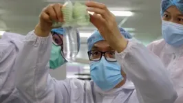 John Tang Ing Ching, fundador e inventor do preservativo unissex, inspeciona a camisinha unissex em sua fábrica em Sibu, na Malásia.