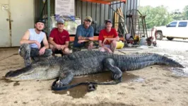 Animal foi capturado no início de setembro no estado de Mississipi