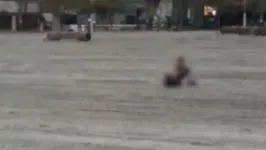Imagem ilustrativa da notícia Policia identifica casal flagrado fazendo sexo em praia 