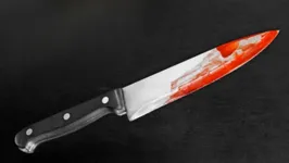 A faca usada no crime estava dentro da casa e suja de sangue.