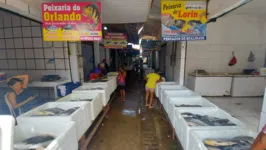 Notícia da doença da urina preta tem resultado em pouca procura pelo pescado em Marabá
