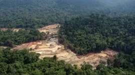 Muitos desses garimpos ilegais funcionam dentro de reservas indígenas e áreas de proteção ambiental, e os conflitos são inevitáveis.