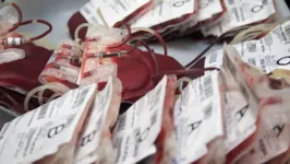 Imagem ilustrativa da notícia Doação de sangue: ações vão ajudar mais de 1.570 pacientes 