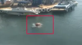 Imagem ilustrativa da notícia Vídeo: homem entra no rio e é atacado por capivara furiosa