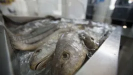 Peixeiros do município relatam queda na venda dos peixes