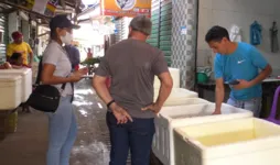 Venda de pescado despencou em Marabá