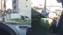 Animal saiu de um terreno baldio e atingiu um motociclista que passava na via