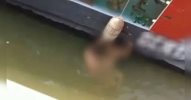 Imagem ilustrativa da notícia Vídeo: casal é flagrado fazendo sexo em flutuante na lagoa