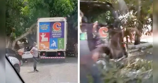 Imagem ilustrativa da notícia Vídeo: Caminhão derruba árvore e interdita trânsito em Belém