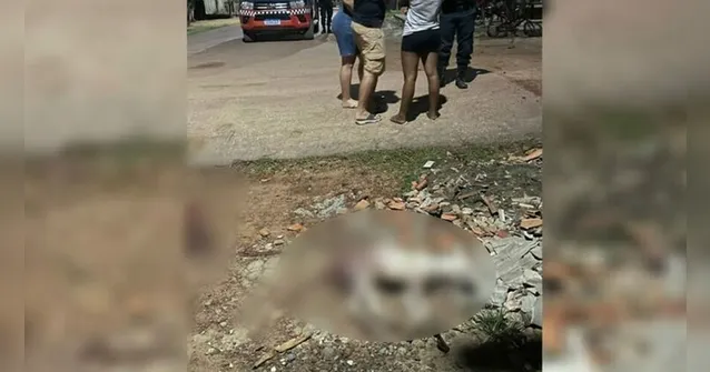 Imagem ilustrativa da notícia Pará: homem que podava árvore esquarteja cadela por latidos