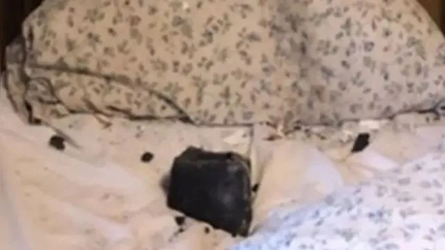 Imagem ilustrativa da notícia Meteoro cai em travesseiro enquanto mulher dormia
