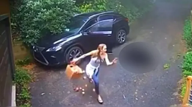 Imagem ilustrativa da notícia Vídeo: mulher abre o carro e corre ao ver criatura no banco