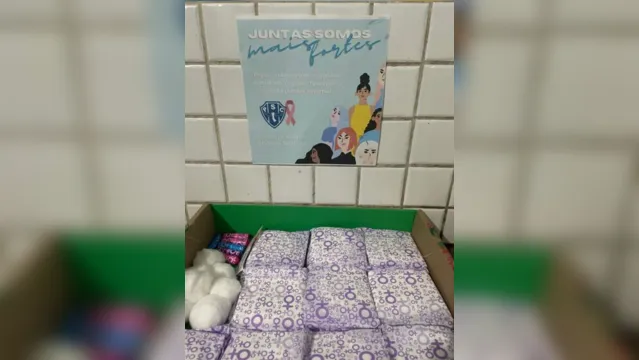 Imagem ilustrativa da notícia Paysandu disponibiliza absorventes em banheiros do estádio