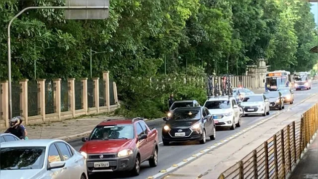 Imagem ilustrativa da notícia Vídeo: Árvore cai e assusta motoristas na Almirante Barroso