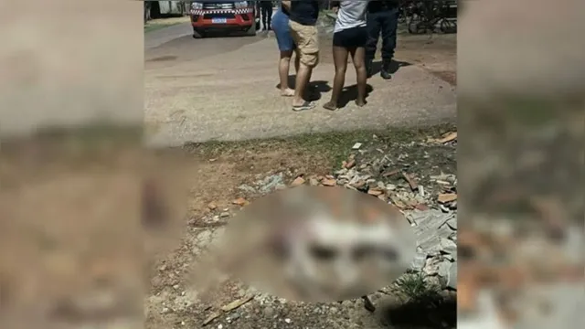 Imagem ilustrativa da notícia Pará: homem que podava árvore esquarteja cadela por latidos